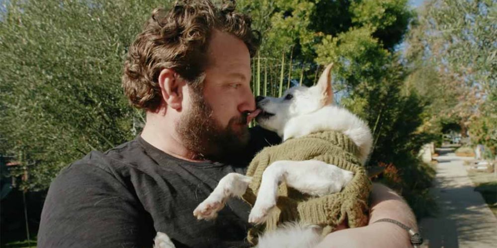 gino guinness world records oldest dog 2022